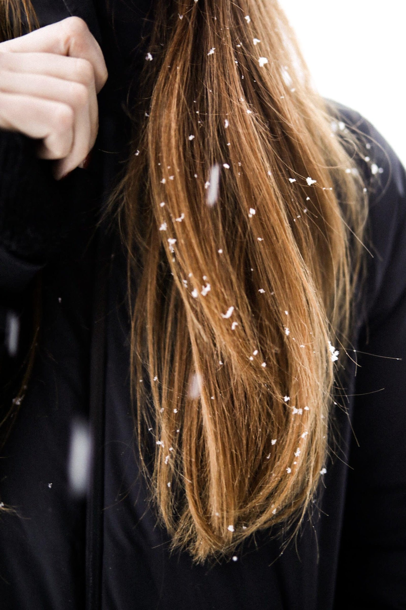 Winter Hair Extensions